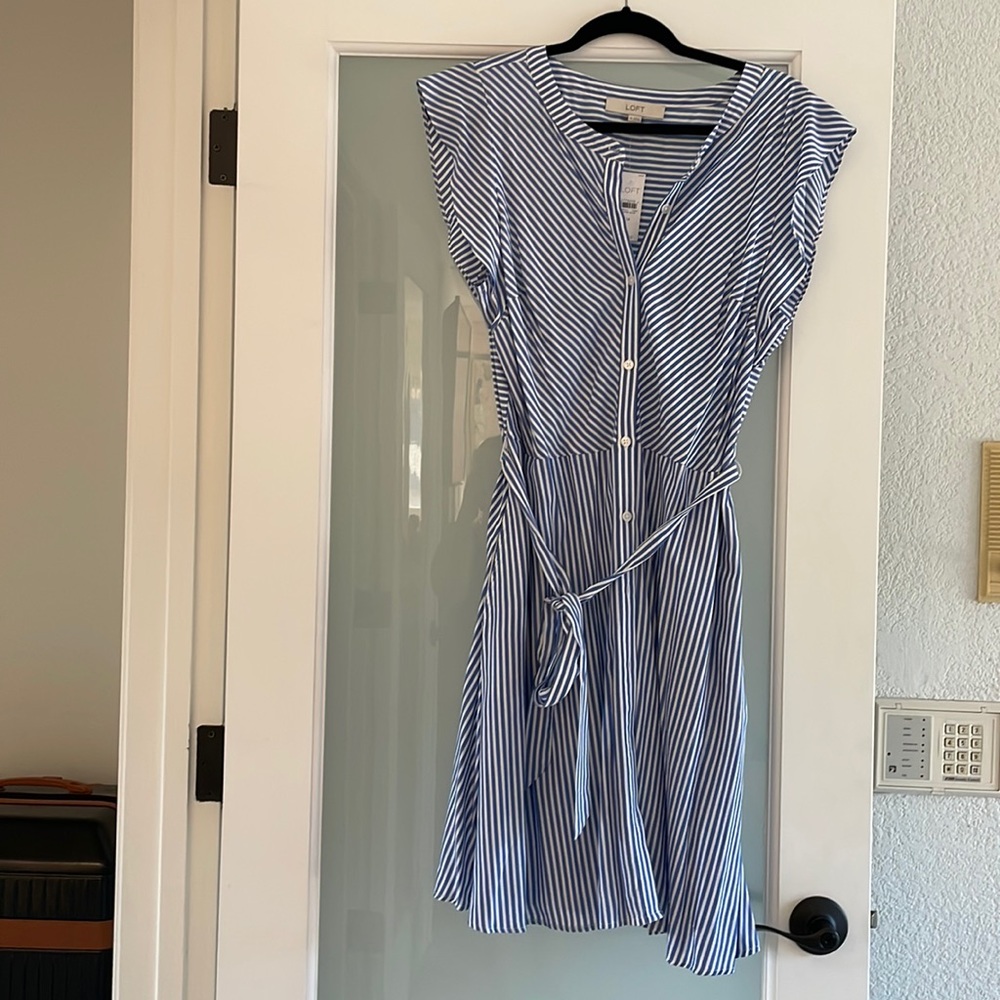 Beautiful flattering LOFT dress (14)
